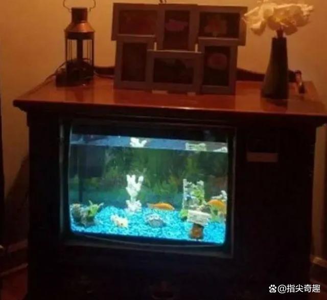 造创意无限让生活更精彩环保又实用！J9真人游戏第一品牌18个旧物大改(图9)