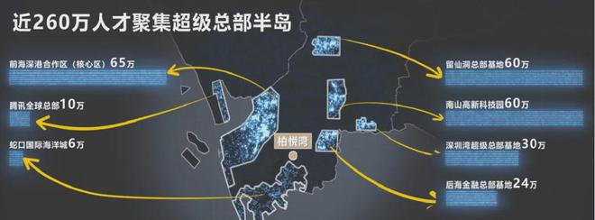 湾的批地时间为2020年01月01日j9九游真人游戏第一品牌深圳南山柏悦(图5)