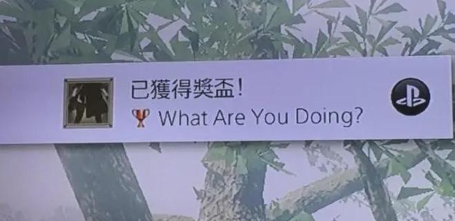 每天要踢飞几万个居心不良之人j9平台《剑星》联动后伊芙(图8)